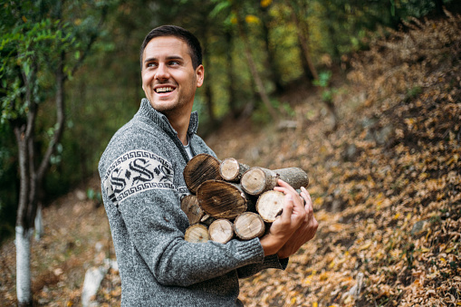 Handsome and strong man carrying firewood in a forest.