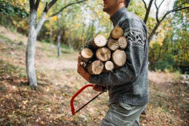 istock Strong man carrying firewood and a hand saw 1208323489
