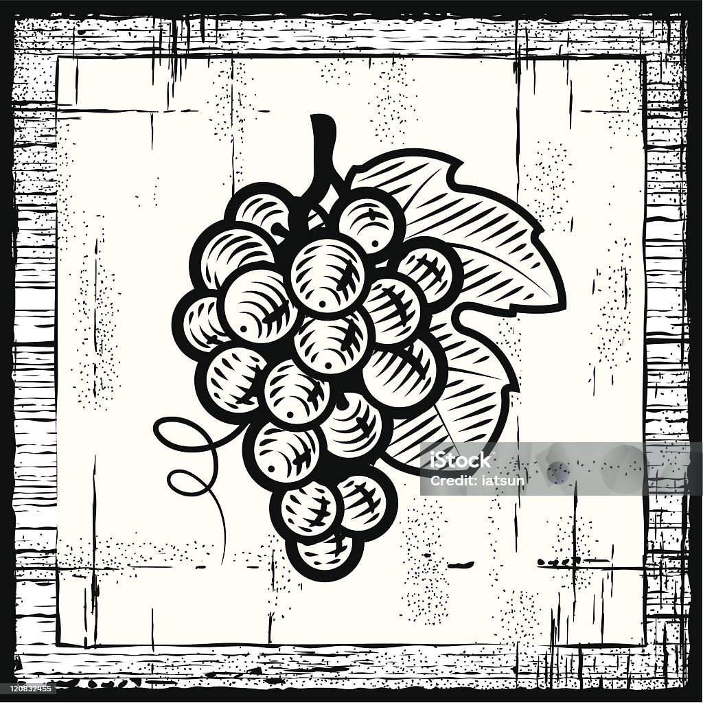 Retro grapes bunch black and white  Engraved Image stock vector