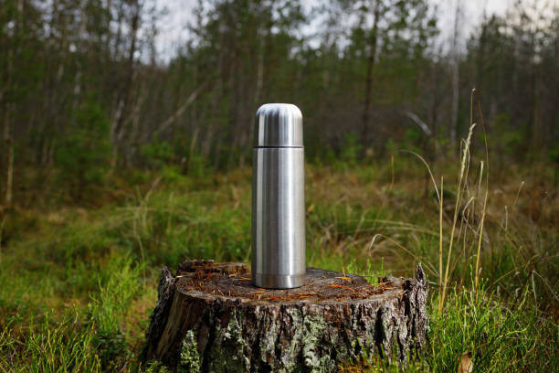 istock Steel thermos on an old stump in the forest 1208325448
