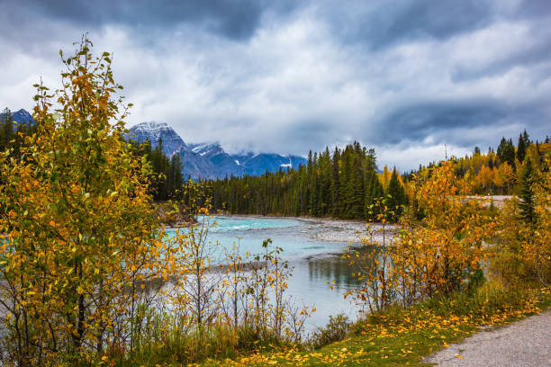 istock Autumn forests grow along the river 1208328135