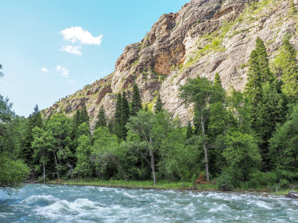istock Chychkan Gorge, Kyrgyzstan 1208328224