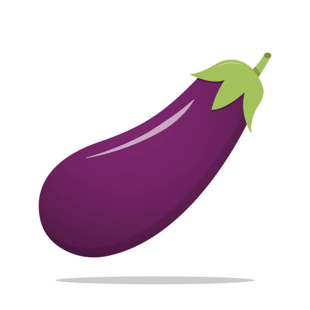 свежие баклажаны овощ изолированные иллюстрации икона - eggplant vegetable isolated freshness stock illustrations