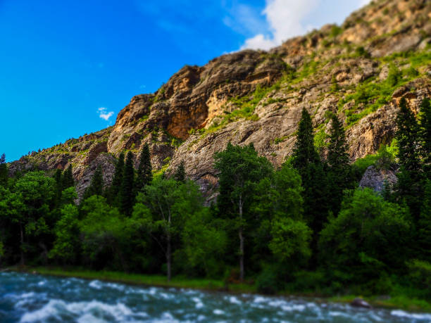 istock Chychkan Gorge, Kyrgyzstan 1208328837