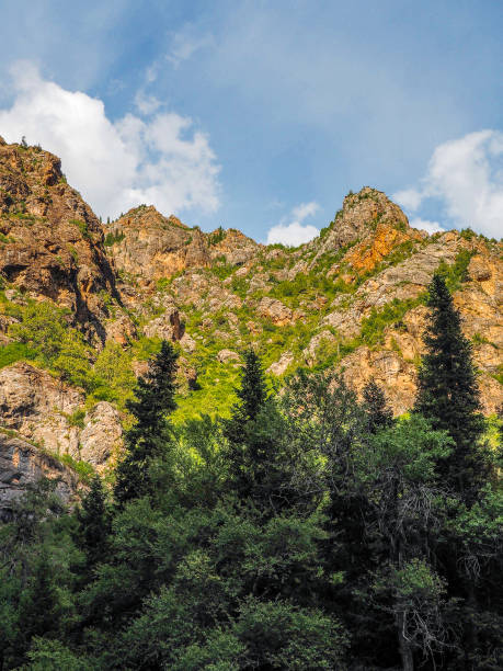 istock Chychkan Gorge, Kyrgyzstan 1208328838