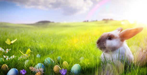 istock Beautiful Easter invitation card for celebration design. Holiday, Easter background. Happy holiday celebration. Garden background. Garden flower. Spring background. Festive greeting card. 1208329444