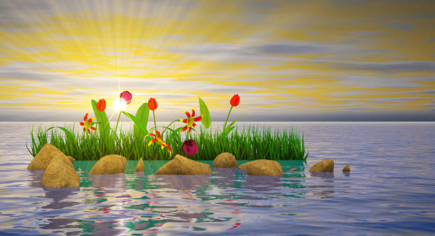 istock Flowers and stones in water 1208329525
