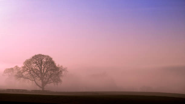 Sunrise in the Yorkshire Dales