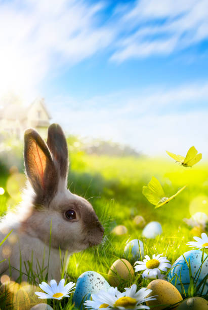 istock Happy Easter; Bunny And Decorated Eggs In Flowery Field 1208329562