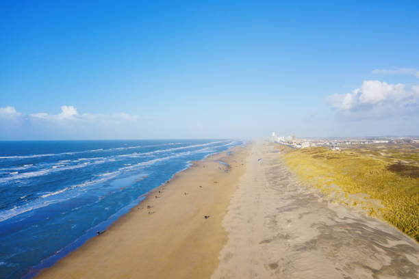istock People walking on beach near Zandvoort, Netherlands 1208329709