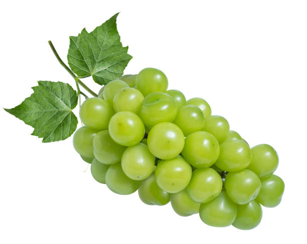 白に葉を分離した緑のブドウ。クリッピングパスでマスカットグレープを輝かせる。 - grape white grape green muscat grape ストックフォトと画像