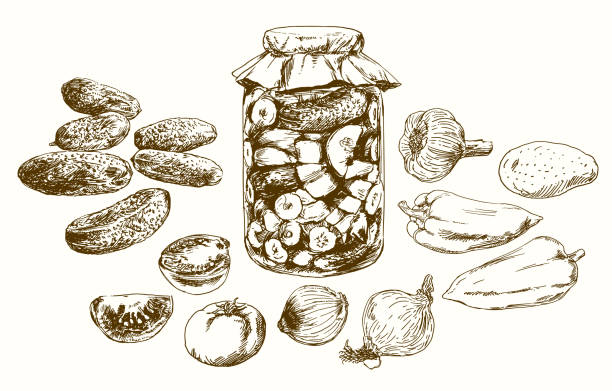 illustrations, cliparts, dessins animés et icônes de pot aux légumes marinés. ensemble dessiné à la main. - vinegar bottle raspberry fruit