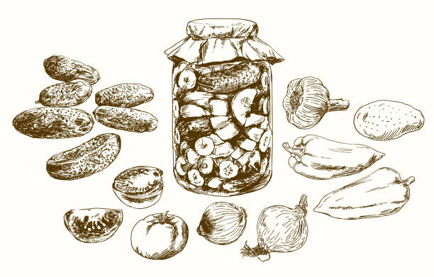 ilustrações, clipart, desenhos animados e ícones de jarra com legumes em conserva. conjunto desenhado à mão. - vinegar bottle raspberry fruit