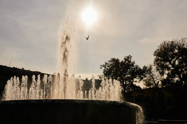 istock Pigeon flying above the fountain 1208332248