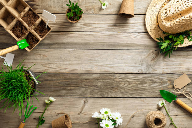 istock Gardening tools and plants on wooden table. Spring garden works concept. Flat lay, top view 1208334019