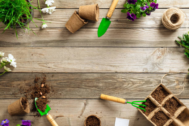 istock Gardening tools on wooden background. Spring garden works concept. Flat lay, top view 1208334029