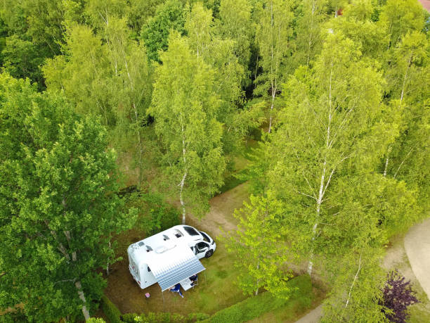 istock Alone on the natural campsite with RV camper van 1208335317