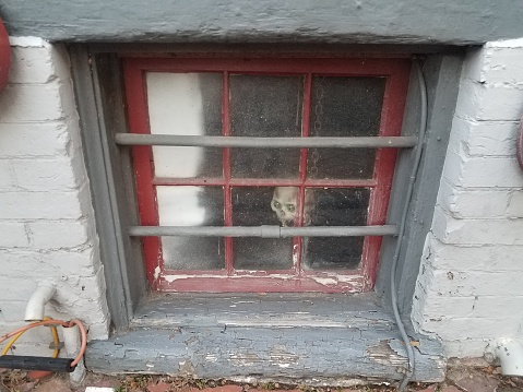 basement window with skull decoration and bars and weathered wood