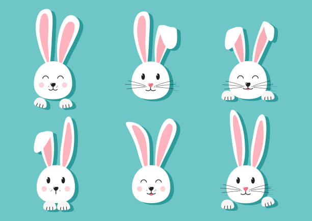 ilustraciones, imágenes clip art, dibujos animados e iconos de stock de lindos conejitos de pascua dibujados a mano, cara de conejos con sombra sobre fondo turquesa. elementos para tarjetas de felicitación de diseño. vector - easter easter bunny fun humor