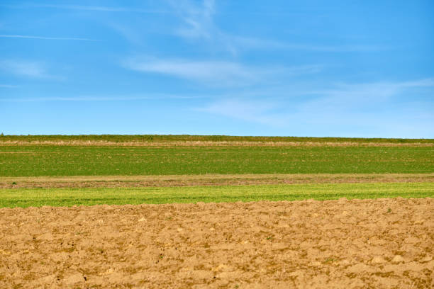 istock Abstract landscape shot of agricultural fields 1208336123