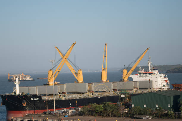 포트 고아 항구의 선�박 적재 시설 - ocean conveyor 뉴스 사진 이미지