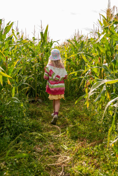 istock Vibrantly dressed young girl walking through a corn field 1208341359