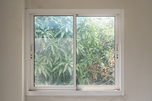 Sliding glass window that looks out to the mango tree.