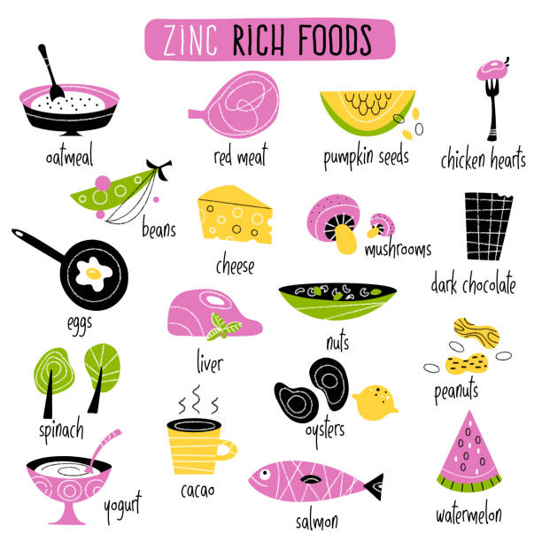 ilustraciones, imágenes clip art, dibujos animados e iconos de stock de alimentos ricos en zinc. ilustración de dibujos animados vectoriales - zinc