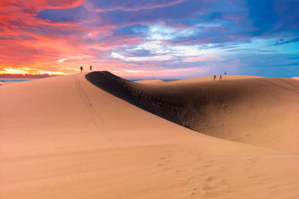 Dunes of Maspalomas in Gran Canaria, Canary Islands‎, Spain The Maspalomas Dunes are sand dunes located on the south coast of the island of Gran Canaria, Province of Las Palmas, in the Canary Islands. They were formed by sand from the now subdued marine shelf, when it was laid dry during the last ice age and the wind blew the sand towards the coast of the island. grand canary stock pictures, royalty-free photos & images