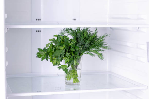 istock Green fresh parsley and dill in water in refrigerator 1208345910
