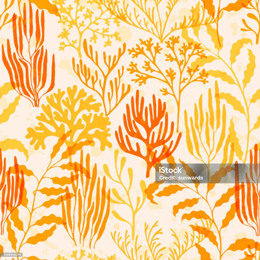 Australian Corals Patterns Coral Reef Seamless Pattern Australian Staghorn And Pillar Corals ...