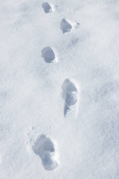 istock Foot steps in the fresh snow 1208348881