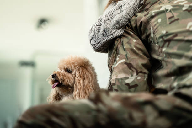 istock Poodle with unrecognizable military couple at home. 1208349276