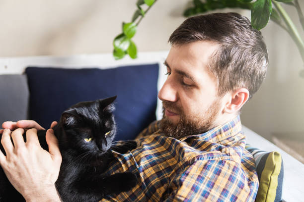 istock Man petting black cat while lying on the sofa at home 1208352405