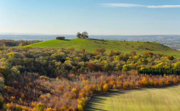 outono em chiltern hills, buckinghamshire - buckinghamshire - fotografias e filmes do acervo