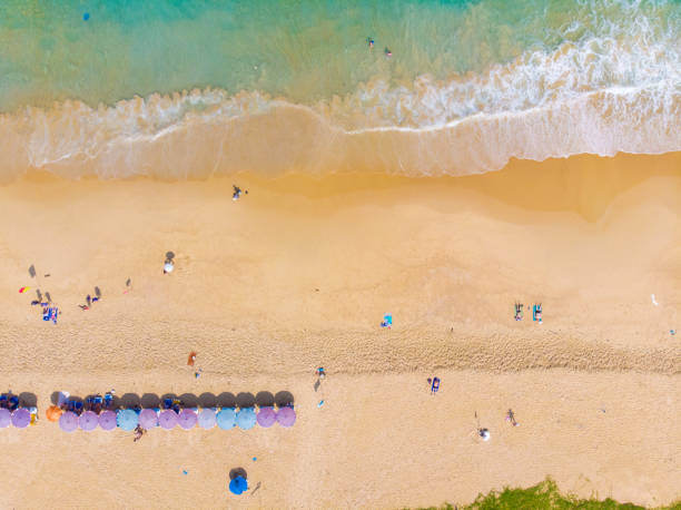 istock Aerial view white sand sea beach 1208364308