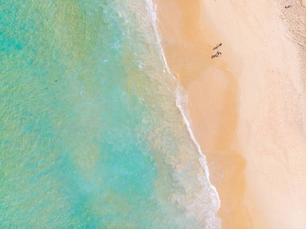istock Aerial view white sand sea beach 1208364646