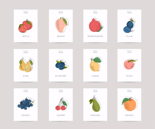 vektör el çizilmiş meyve posterleri. eko gıdalar. renkli vektör simgeleri 'meyve ve sebze seti. - meyve illüstrasyonlar stock illustrations