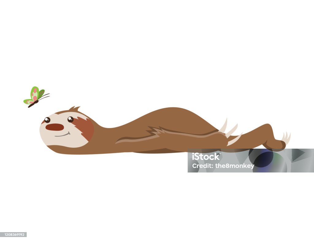 Con Lười Con Dễ Thương Nằm Và Nhìn Con Bướm Động Vật Hoạt Hình ...