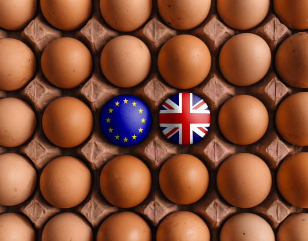 欧州連合(eu)と英国英国イングランドは卵にフラグを立て - usa european union flag trading europe ストックフォトと画像