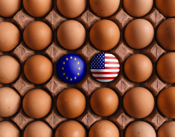 istock European Union and USA America flags on eggs 1208372523