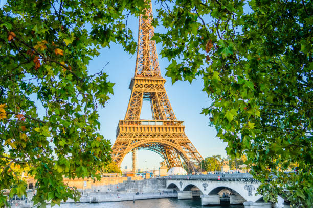 istock Eiffel tower, Paris. France view through maple leaf 1208372671