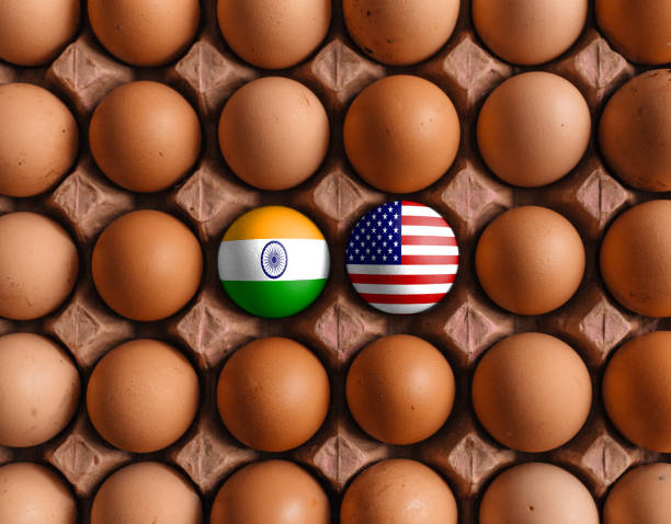 istock USA American an India Indian flag flags on eggs with mask 1208372915