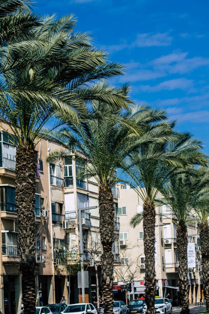 istock Colors of Israel 1208373699