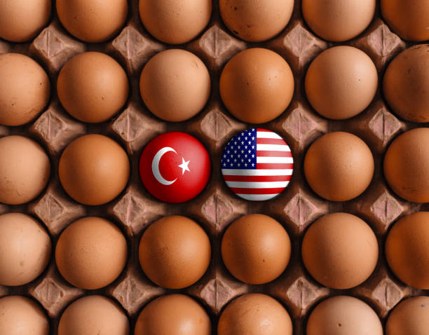 istock USA America an Turk turkish flags on eggs with mask 1208373718