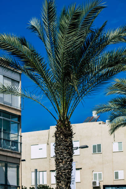 istock Colors of Israel 1208373889