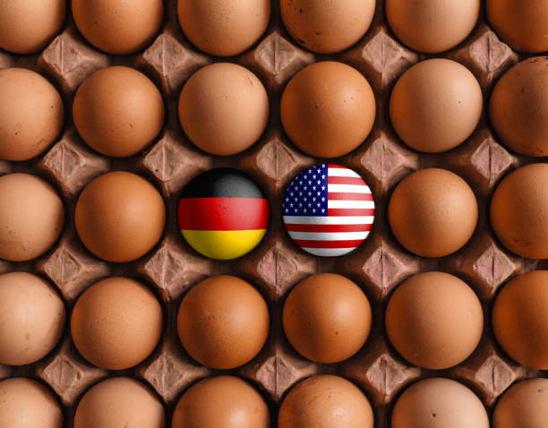 USA American an germany german flag flags on eggs with mask