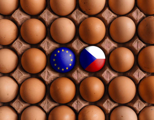 istock European Union EU and czech  flags on eggs 1208374304