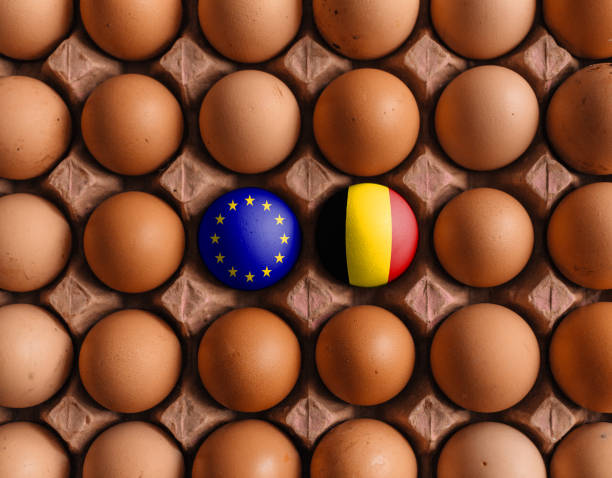 istock European Union EU and Belgium flags on eggs with mask 1208374324