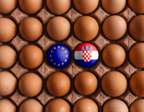 istock European Union EU and croatia flags on eggs with mask 1208374443